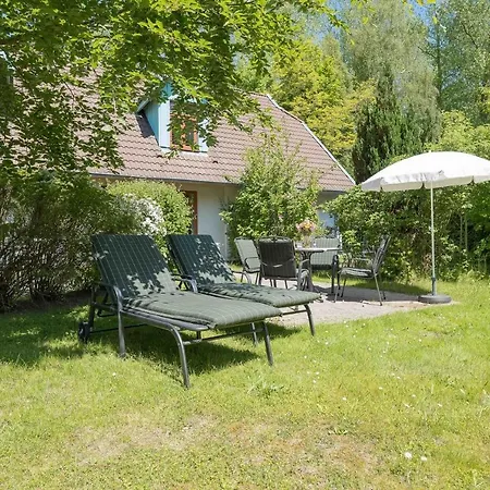 Dom wakacyjny Ferienhaussiedlung Strandperlen Buchenhof 5c Wustrow (Fischland)